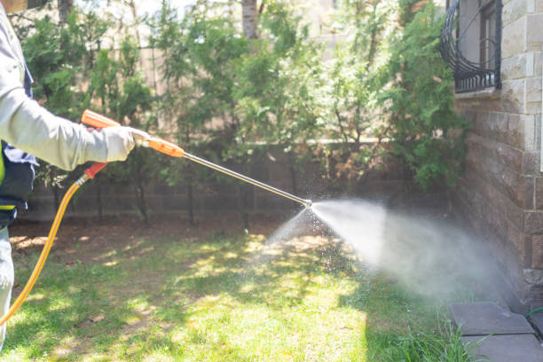 Professional Pest control in Ithaca, MI